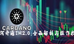 如何开通IM2.0：全面解析与