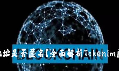 Tokenim地址是否匿名？全面解析Tokenim匿名性问题