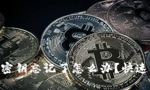 tokenim密钥忘记了怎么办？快速急救指南