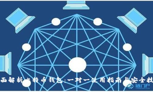 全面解析比特币钱包：一对一使用指南与安全技巧