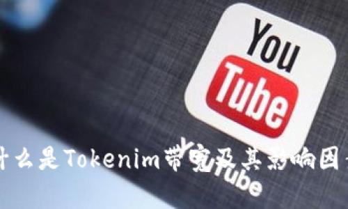 什么是Tokenim带宽及其影响因素