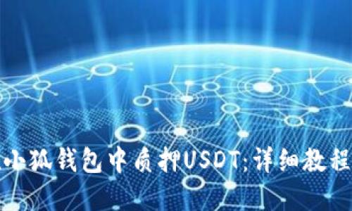 如何在小狐钱包中质押USDT：详细教程与技巧