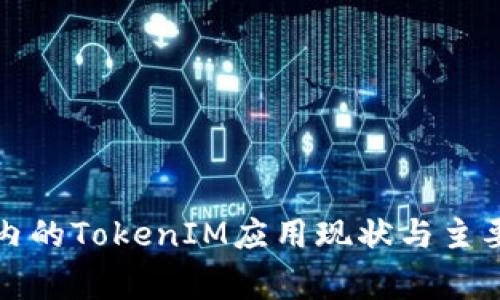 全球范围内的TokenIM应用现状与主要国家分析