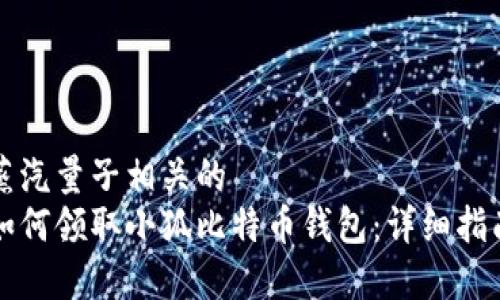 蒸汽量子相关的
如何领取小狐比特币钱包：详细指南
