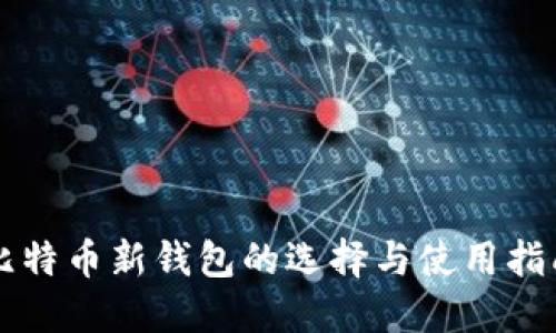 比特币新钱包的选择与使用指南