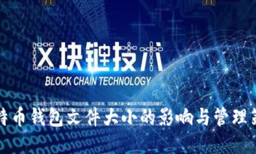 比特币钱包文件大小的影响与管理策略