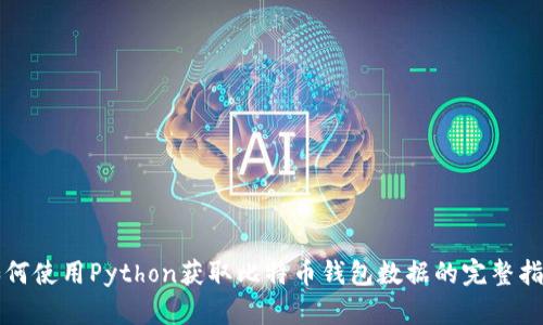 如何使用Python获取比特币钱包数据的完整指南