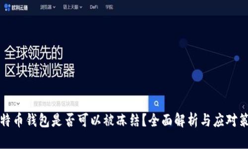 比特币钱包是否可以被冻结？全面解析与应对策略