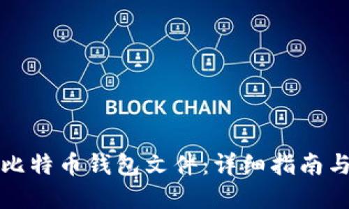 如何读取比特币钱包文件：详细指南与实用技巧