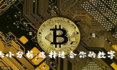 USDT钱包的大小分析：选择