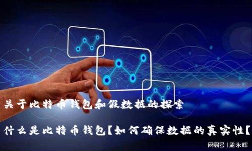 关于比特币钱包和假数据的探索

什么是比特币钱包？如何确保数据的真实性？