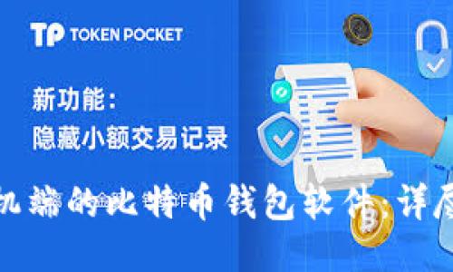 如何制作一个手机端的比特币钱包软件：详尽指南与开发步骤