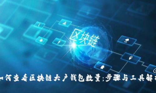 如何查看区块链大户钱包数量：步骤与工具解析
