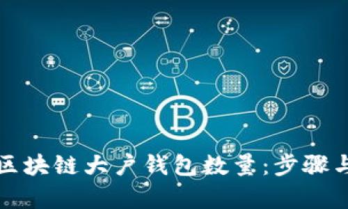 如何查看区块链大户钱包数量：步骤与工具解析