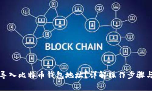 如何正确导入比特币钱包地址？详解操作步骤与注意事项