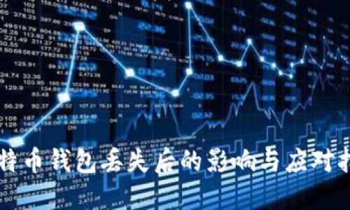 比特币钱包丢失后的影响与应对指南