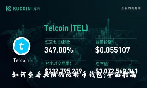 如何查看大陆的比特币钱包：全面指南