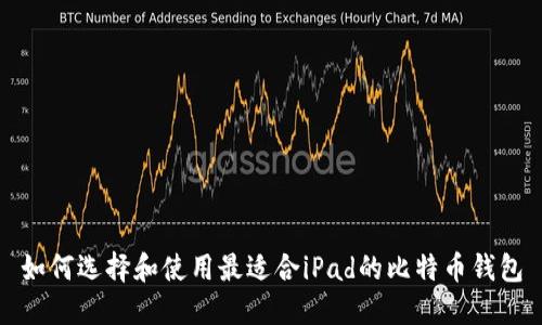 如何选择和使用最适合iPad的比特币钱包