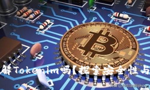 黑客能破解Tokenim吗？探索安全性与防护措施