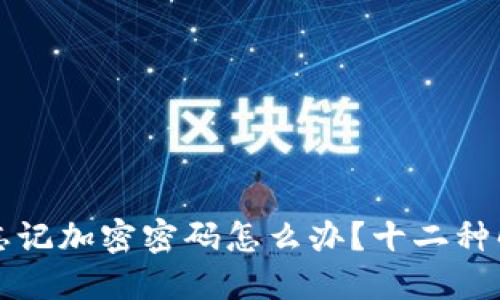 比特币钱包忘记加密密码怎么办？十二种解决方案详解
