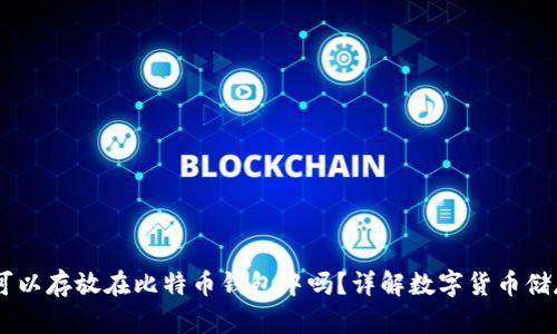 BC币可以存放在比特币钱包中吗？详解数字货币储存方式