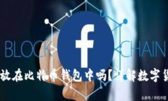 BC币可以存放在比特币钱包