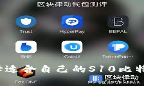 如何选择适合自己的S10比特币钱包？