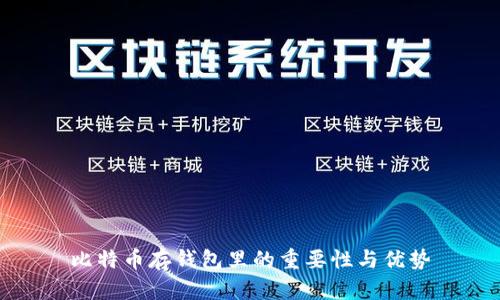 比特币存钱包里的重要性与优势