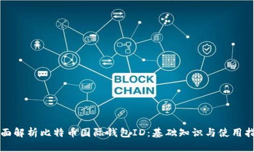 全面解析比特币国际钱包ID：基础知识与使用指南