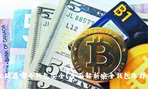 以太坊存哪个钱包安全？全面解析安全钱包选择指南