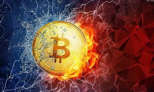 

如何轻松查看比特币钱包地址：完整指南