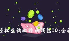 如何轻松查询比特币钱包
