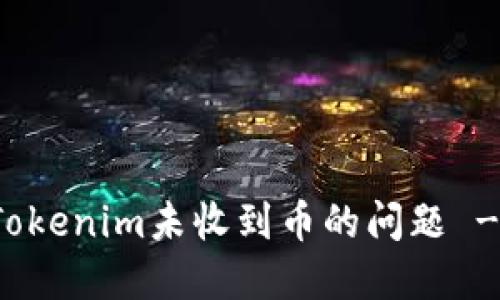 如何解决Tokenim未收到币的问题 - 全面指南