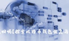 比特币钱包能找回吗？探