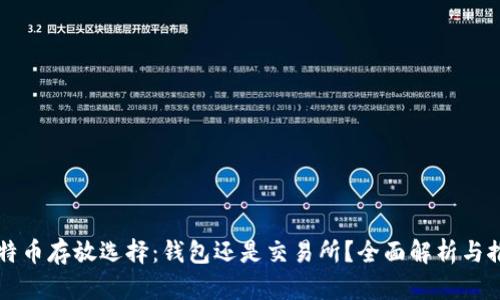 比特币存放选择：钱包还是交易所？全面解析与推荐