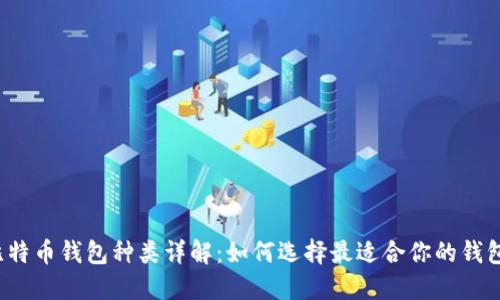 比特币钱包种类详解：如何选择最适合你的钱包？