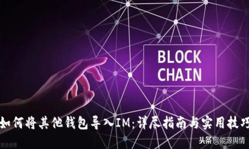 如何将其他钱包导入IM：详尽指南与实用技巧