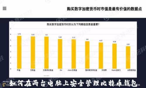 
如何在两台电脑上安全管理比特币钱包