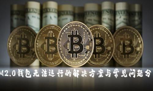 IM2.0钱包无法运行的解决方案与常见问题分析