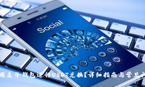 如何使用麦子钱包进行USDT兑换？详细指南与常见问题解析