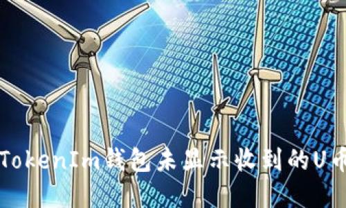 解决TokenIm钱包未显示收到的U币问题