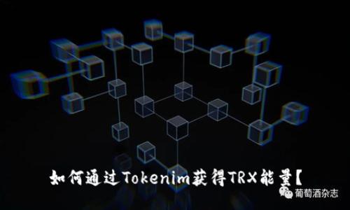 如何通过Tokenim获得TRX能量？