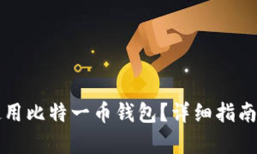如何安全使用比特一币钱包？详细指南与网址解析