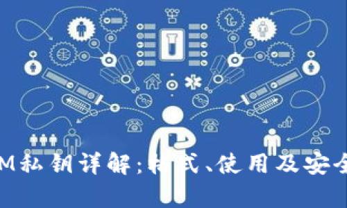 TokenIM私钥详解：格式、使用及安全性分析