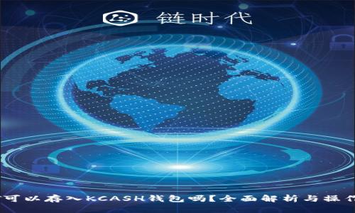 USDT可以存入KCASH钱包吗？全面解析与操作指南