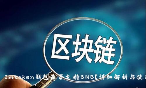 ### Imtoken钱包是否支持BNB？详细解析与使用指南