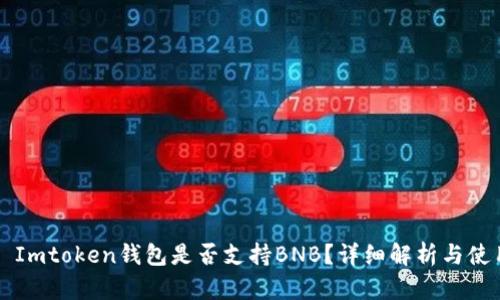 ### Imtoken钱包是否支持BNB？详细解析与使用指南