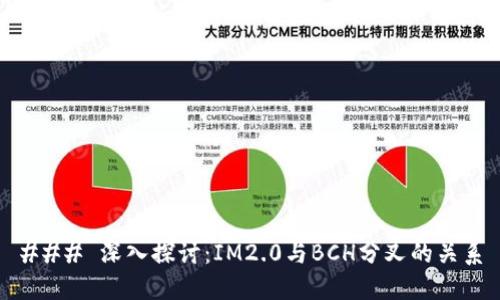 ### 深入探讨：IM2.0与BCH分叉的关系