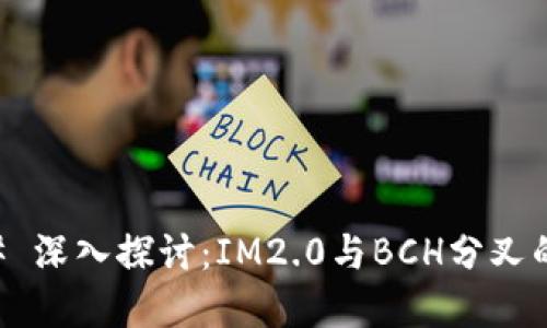 ### 深入探讨：IM2.0与BCH分叉的关系