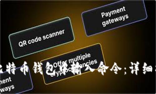 如何在比特币钱包中输入命令：详细操作指南